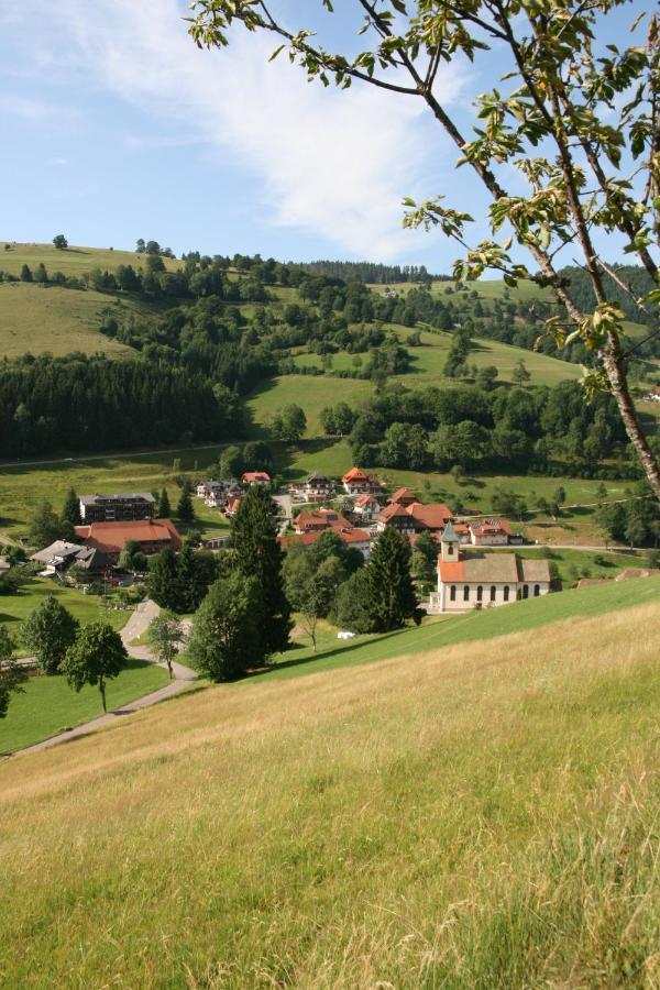 Gaestehaus Sonnhalde Wieden Exteriér fotografie