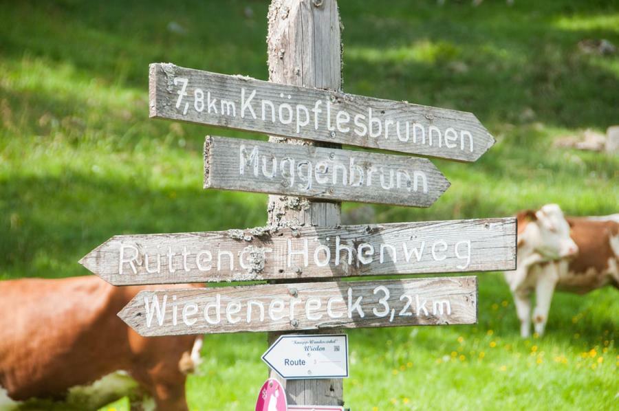 Gaestehaus Sonnhalde Wieden Exteriér fotografie